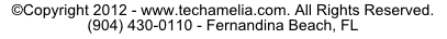Tech Amelia Company Information